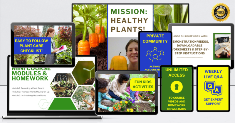 Mission: Healthy Plants!