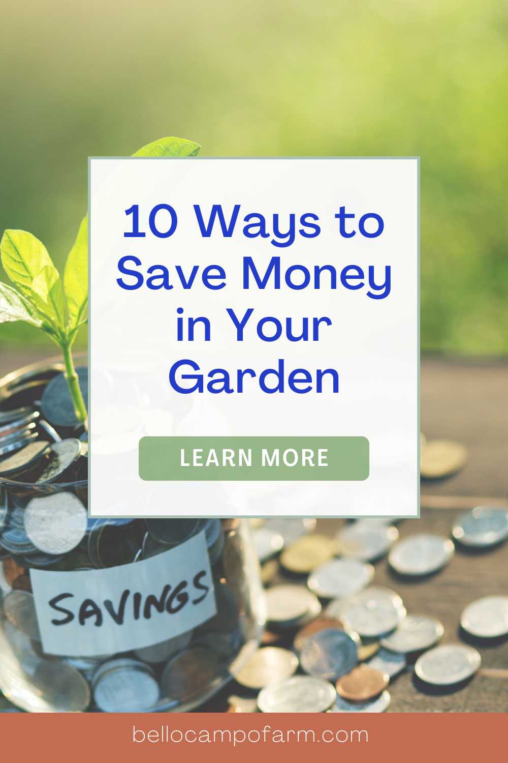 10 Ways to Save Money in Your Garden - Bello Campo Farm