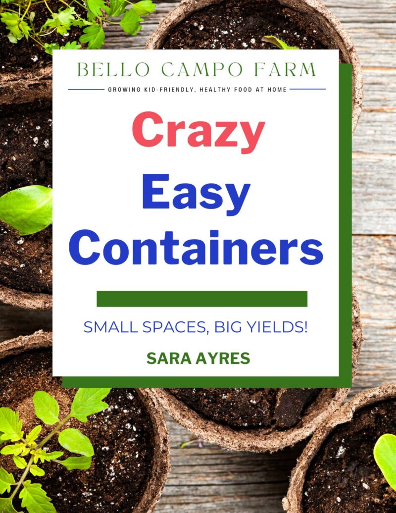 Crazy Easy Containers